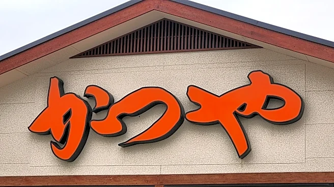 かつやの『680円どんぶり』がコスパ良すぎる!どれも1000円以下の、“ボリューム満点メニュー3選”がおすすめなんです!《実食レビュー》
