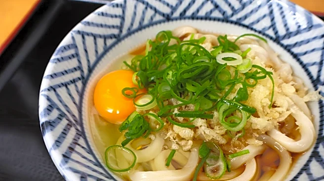 「芸術だよこれもう」立体的な“うどんネイル”にSNS驚き「食品サンプルレベル!」「ネギついてるのかわいい」