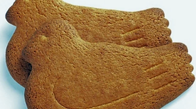 “鳩の日”限定! 鳩サブレー1枚がぴったり入る大きさのシリコンポーチ「はとっこ」販売