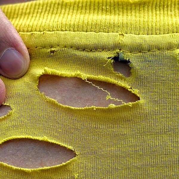 すぐ退治して！ 服を食べる“最凶の害虫”が大量発生「家の中で…」「ベッドの隙間に100匹以上」SNSで悲鳴が続出