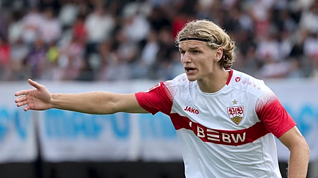 エーリング・ハーランドとの比較は的外れだ! VfBシュトゥットガルトの新たな格安ストライカーは、ニック・ヴォルテマーデを強く思い起こさせる。