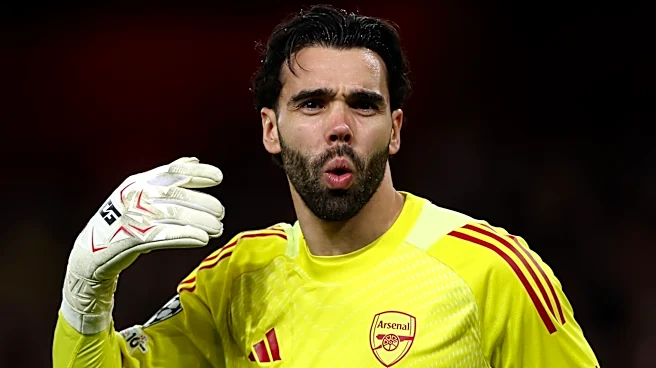 アーセナル無敗優勝メンバーの一人がデイビッド・ラヤを「世界で最も不運なGK」と評しつつ、プレミアリーグ「最高」と評価