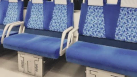 東武東上線の車内で泣き出してしまった1歳娘。それを見た中年女性客が、私たちの最寄り駅までずっと（埼玉県・30代女性）