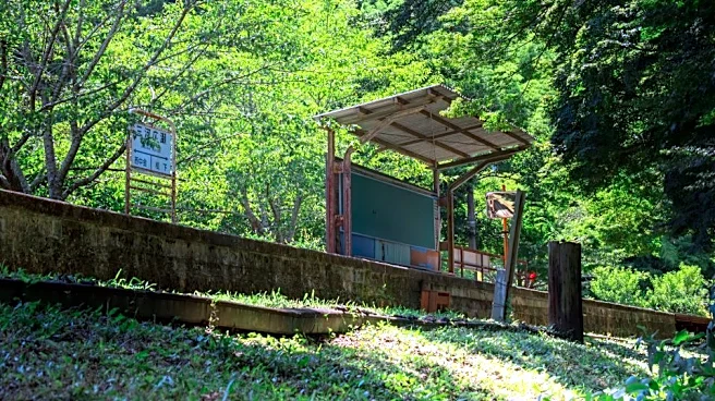 「ジブリに出てきそう」「ノスタルジー感じます」 愛知に残る〝緑の廃駅〟で物語が始まりそう