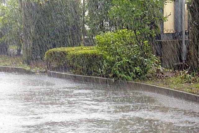 ゲリラ豪雨の外に出て、滑って倒れた足の悪い父。ずぶ濡れになって助けてくれた恩人の名前も聞かず...