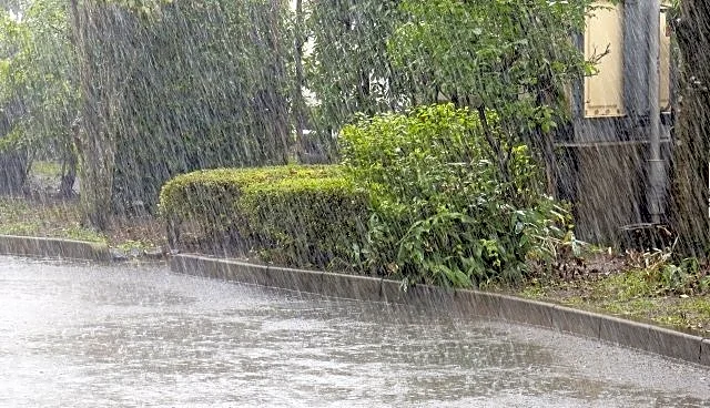 ゲリラ豪雨の外に出て、滑って倒れた足の悪い父。ずぶ濡れになって助けてくれた恩人の名前も聞かず...