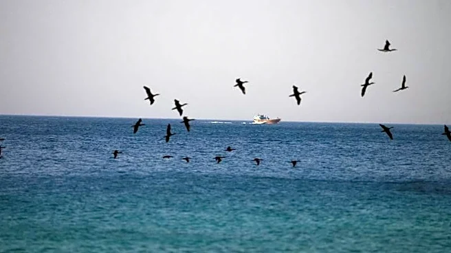 ホルムズ海峡の船舶通過、4隻に減少　米イラン攻撃応酬で