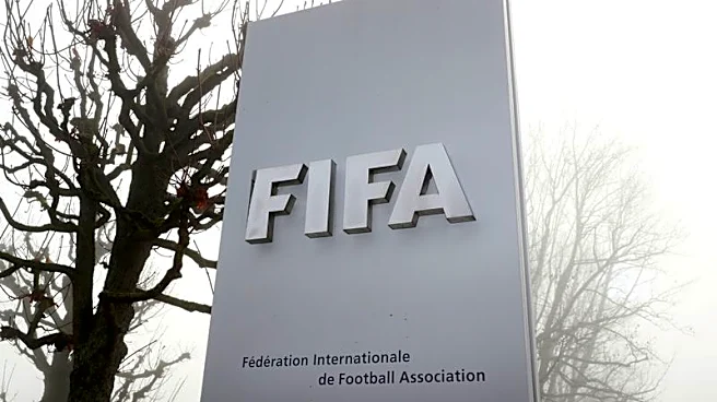 サッカー=W杯拡大案、実現ならFIFA依存増す恐れ 開催国負担も