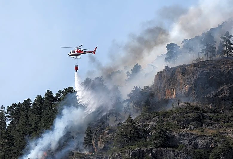 欧州熱波、依然猛威　仏・スペインで山火事