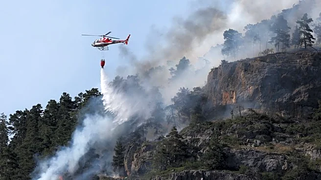 欧州熱波、依然猛威　仏・スペインで山火事