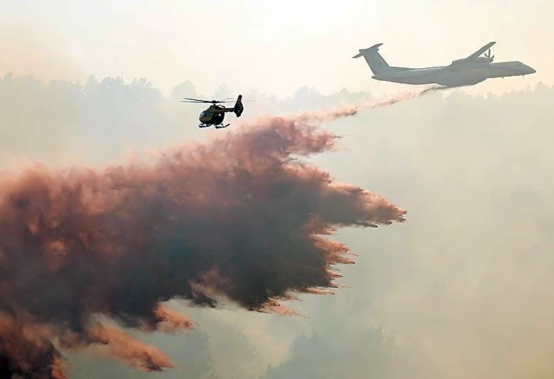 仏ボルドー近郊でも山火事拡大、1万人超避難　各国が対応苦慮