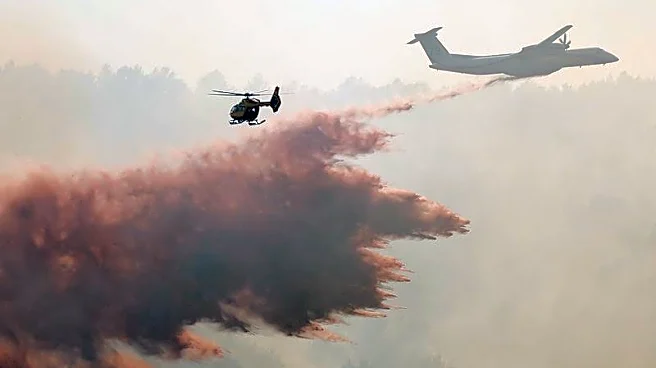 仏ボルドー近郊でも山火事拡大、1万人超避難　各国が対応苦慮