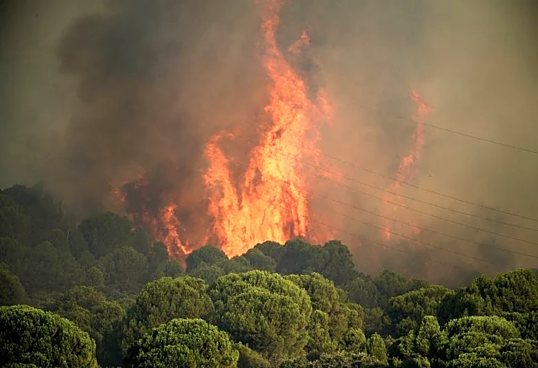 仏ボルドーに山火事迫る、スペインと計数十万人避難