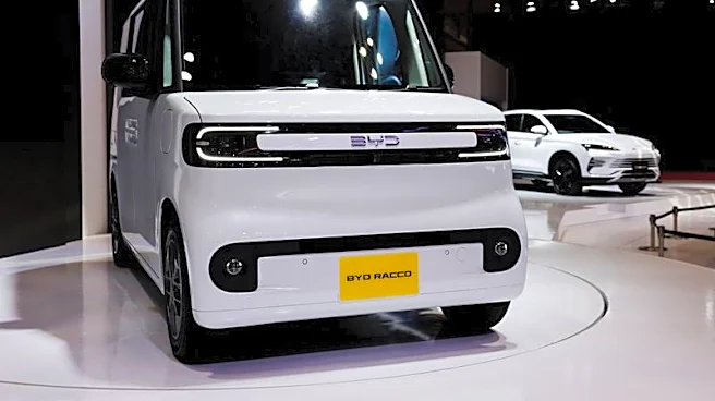 中国ＢＹＤ、軽ＥＶ「ラッコ」を発売　実質200万円以下