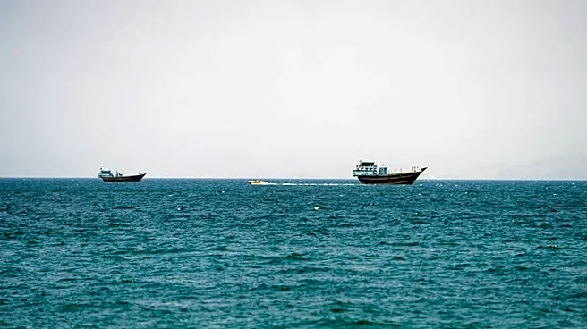 オマーン、ホルムズ海峡共同管理案をイランに提示　域内諸国も支持＝関係筋