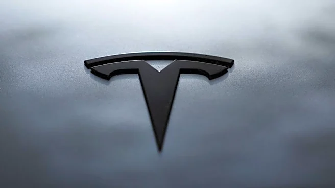テスラ、中国事業の売却検討 スペースXとの合併に布石=WSJ