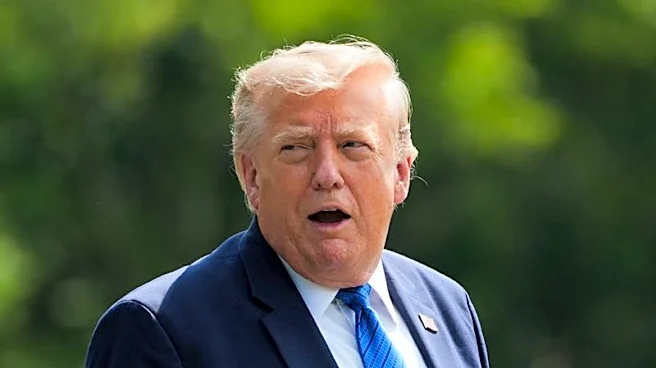 トランプ氏、鉱業大手との会合に出席へ 重要鉱物供給拡大策の一環