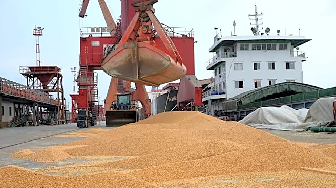 中国国有企業が米国産大豆を大量購入、習主席の訪米控え