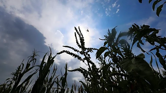ＦＡＯ世界食料価格指数、7月は3年半ぶり高水準