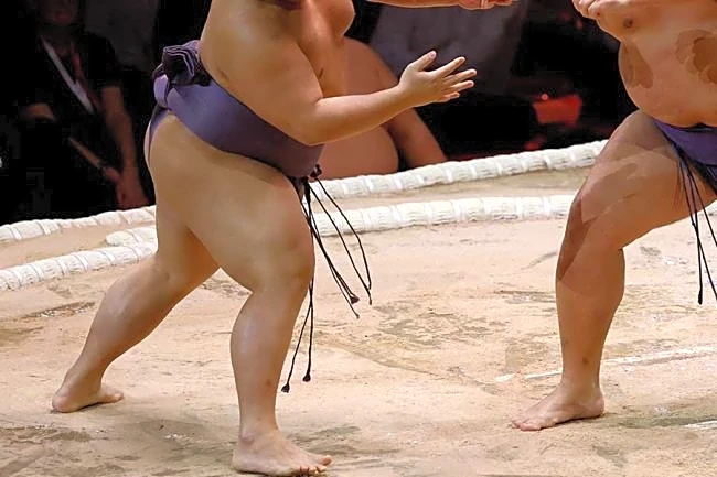 大相撲解説席、元横綱の横にいた男性に仰天「独特すぎてスゴイ」「煮卵色」　中継でも分かる変化