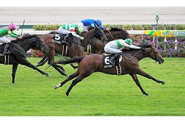「久々に震えた」残り200mで大ピンチ→衝撃差し切り　競馬ファン騒然「あんな脚見たことねえ」
