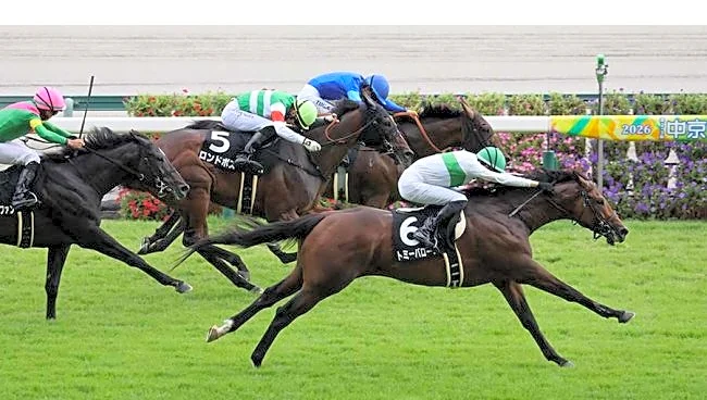 「久々に震えた」残り200mで大ピンチ→衝撃差し切り 競馬ファン騒然「あんな脚見たことねえ」