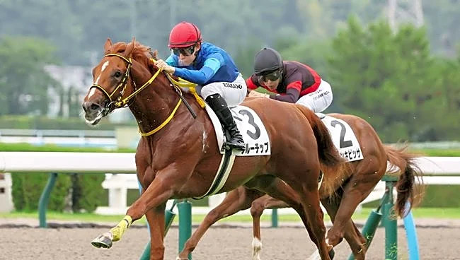 JRAデビュー3年目、20歳高杉吏麒騎手がフリーに所属変更　今週末も騎乗せず
