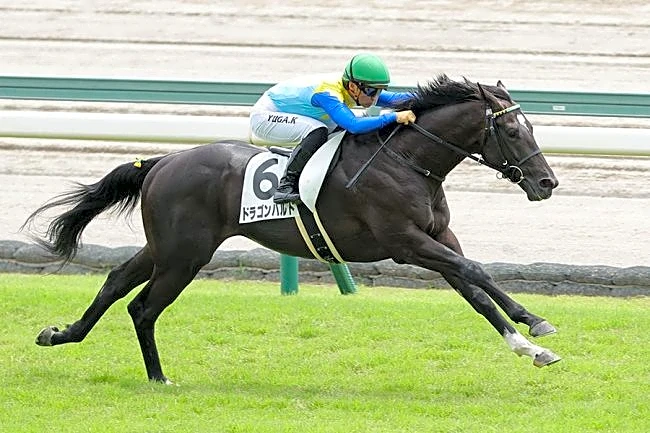 「抜け出したらすぐ…」　2.6億円ホースが衝撃デビュー、競馬ファン期待「これは強くなりそう」