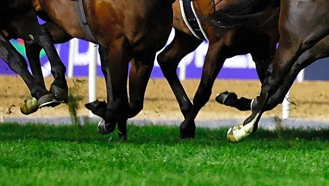 最低人気馬激走のレースで「大量リストラ発生w」 競馬ファン騒然のワケ「掲示板全部…」