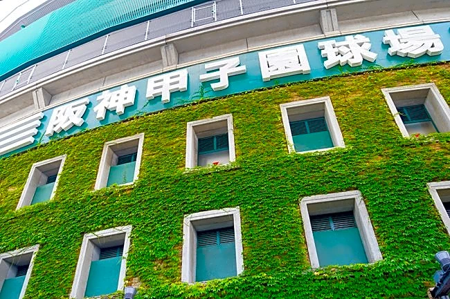 「土日とは思えんくらい…」　甲子園中継で視聴者困惑、午前の外野席に「どゆこと」「目立つ」