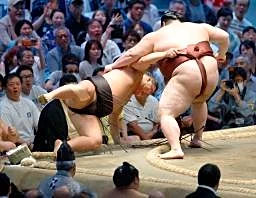 両横綱の2桁勝利が消滅 「複数9勝以下」は35年ぶり