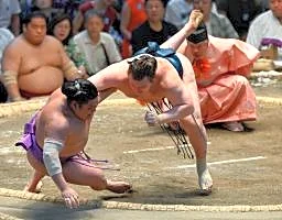 安青錦、2敗で単独首位守る 1差霧島、熱海富士もV可能性
