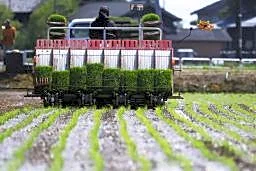 【独自】米転作予算の２割未使用　主食優先、店頭価格さらに下落も