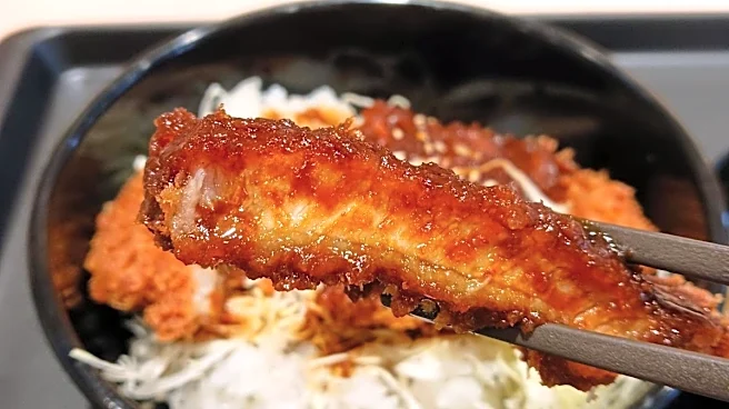 【松のや】500円の「味噌ロースかつ丼」を実食レビュー。クーポン使える今がお得。