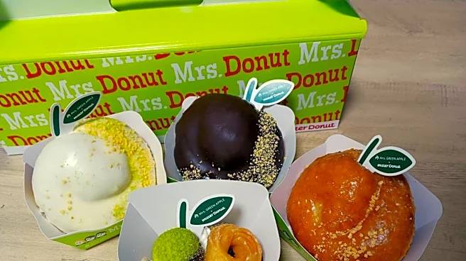 ミセスドーナツ全4種を実食レビュー!可愛さも食べ応えもばっちりで大満足。