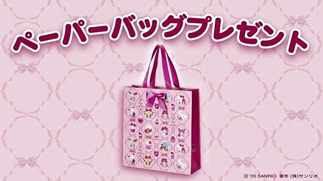 サンリオショップ、今なら3300円以上購入で「ペーパーバッグ」もらえる。ピンクのリボンが可愛すぎ♡