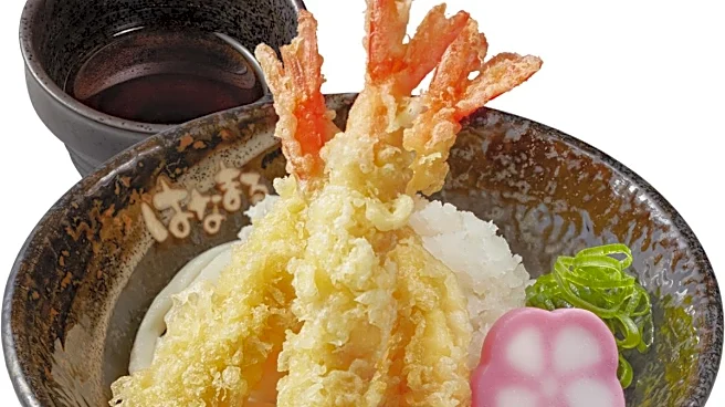 【はなまるうどん】大海老天3本入りの870円うどんが期間限定で登場、キャンディがもらえる日も!