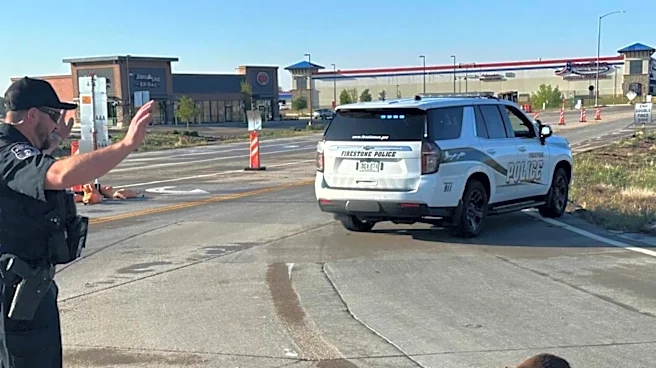 Police Plead With Stubborn Beaver Refusing To Leave The Road
