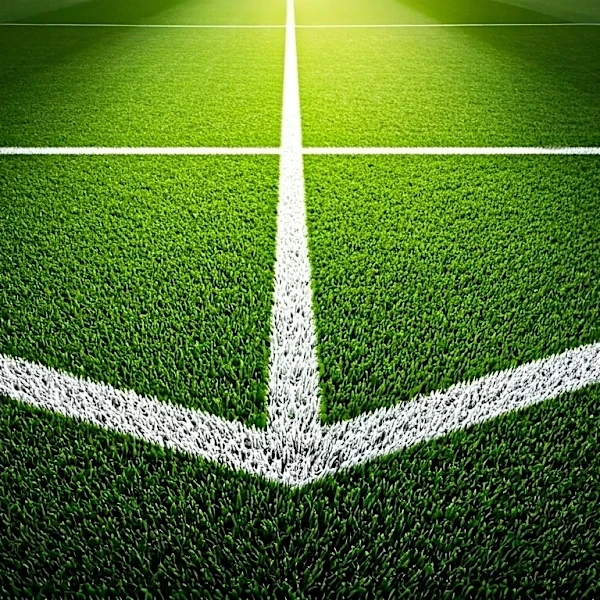 Why “The Box” Is Such an Important Soccer Term