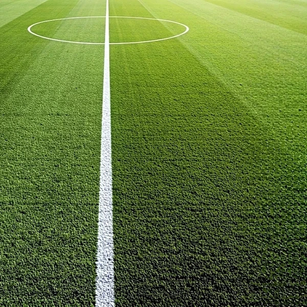 What Soccer Positions Mean at the World Cup