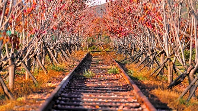 Where Fall Leaves Will Be At Their Brightest This Month