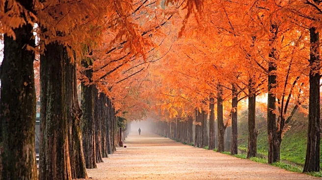 Where to See Fall Colors Without the Busy Crowds