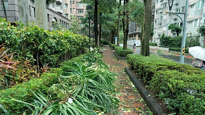 Strong Storms Leave Trail of Wind Damage in Northeast