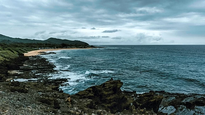 Tropical Wave Emerges as Hurricane Season Heats Up Again