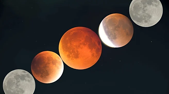 2029 Brings Apophis: A Rare Naked-Eye Asteroid Event