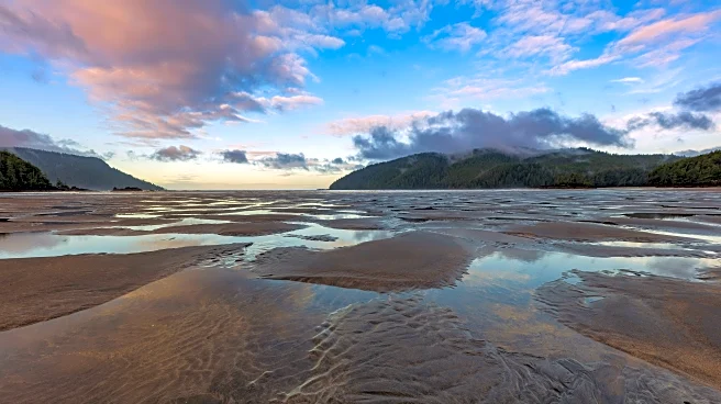 La Niña's Return Could Impact Hurricane Season & Weather