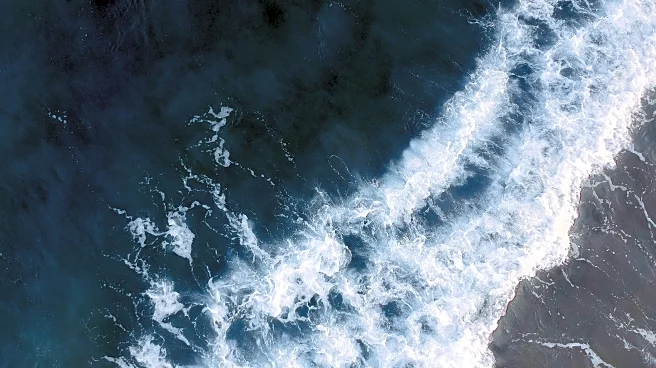 Two Tropical Waves Near Africa Monitored by NHC