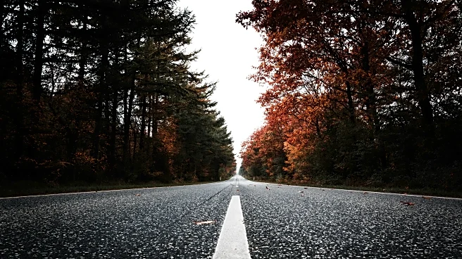 Road-Trip Revival: Scenic Drives That Shine After Rain
