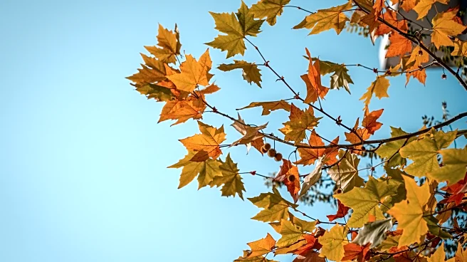 Fall’s Hidden Climate Battle—Migrations, Microbes, and Myths