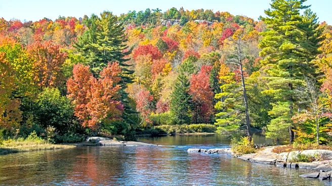 Best Leaf-Peeping Escapes Near NYC This Fall